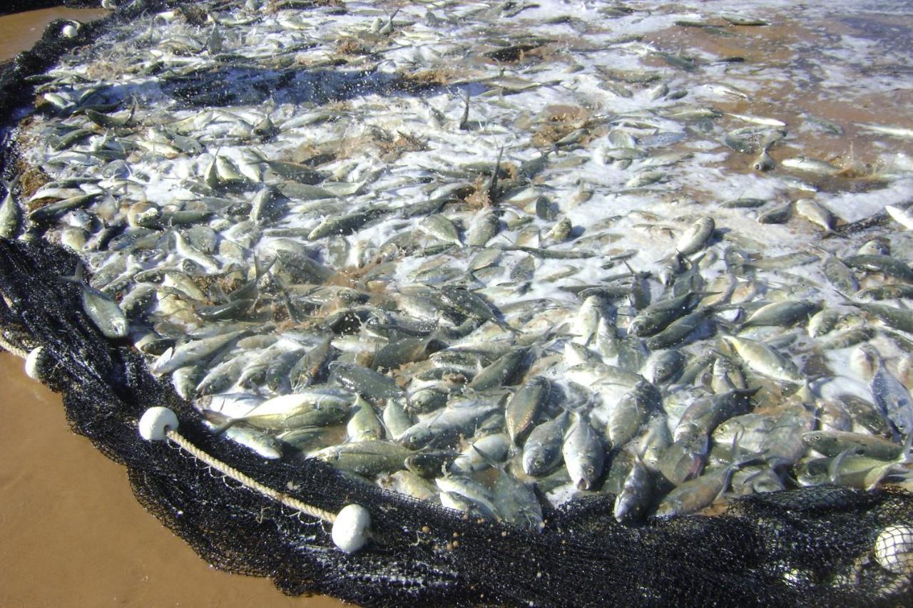 Pousada Lagoa Do Cassange Marau Kültér fotó