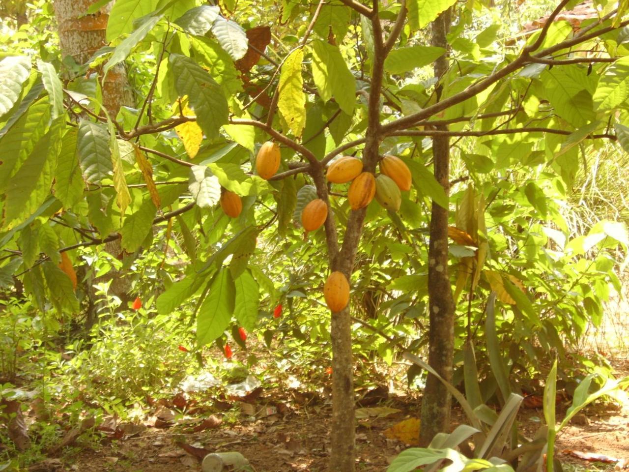 Pousada Lagoa Do Cassange Marau Kültér fotó